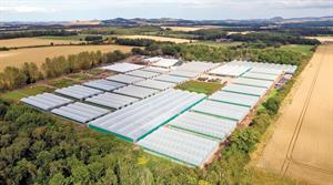 Alba Trees nursery aerial photo
